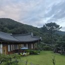 욜로한옥민박 이미지