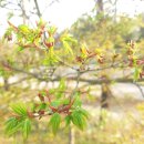 한솔공원 화장실 이미지