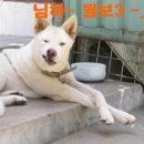 정신