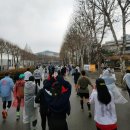 종합운동장역 7번출구(뒤) | [2025 서울마라톤 동아마라톤] 홍순이의 10km 우중런 완주 후기