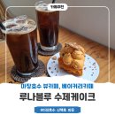 루나케이크 | 파주 운정 애견동반 카페 추천, 루나블루 수제케이크 후기