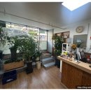 주하네맛집 이미지