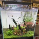 4209 | 여수 접근성 좋은 문수동 수족관 하늘아쿠아 방문후기