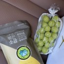 고창마켓 김장 김치에는 볶음 천일염 미네랄 고창 소금 추천 맛이 다르네?