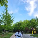 두루미공원 화장실 이미지