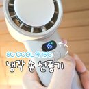 저소음 BLDC 모터의 2중 쿨링 냉각손풍기 오아아이스볼트맥스 후기