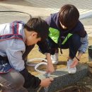 심원초등학교 이미지