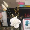 필정신건강의학과의원 이미지