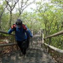 강화도 마니산 (469m) - 익산 한솔산악회 2 이미지