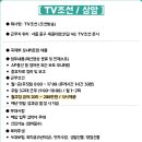 아이비커리어 이미지