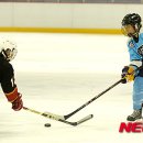 임진경 카카오 검색결과