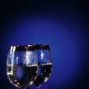 사랑이 머무는 미래 이미지