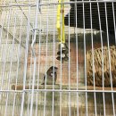 평화지압원 이미지