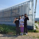 오로정승마을 영농조합법인 이미지