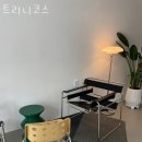 트리니코스 이미지