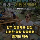 꼬리에꼬리를무는닭 | 양주 장흥계곡 맛집, 시원한 평상 식당에서 즐기는 백숙 후기
