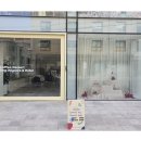 디어코코 이미지