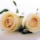 남중문구 이미지