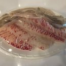 수원 드림바다 실내 낚시터 | [조행기] 수원드림실내바다낚시터-깨끗하고 편안한 분위기의 감성낚시터