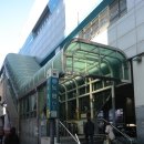 지노20000헤어 이미지