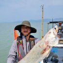 민어사랑 이미지