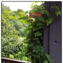 백담알프스펜션 | 인제펜션/백담계곡펜션/백담알프스펜션에서 백담계곡중에 요즘 가장 핫한 장소알려드려요.~~