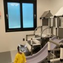 앵두네 집에 놀러오세요 이미지