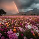 해피타임 이미지