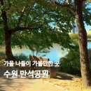 송죽초 | 가을 갈만한곳 만석공원 애견동반 주차요금