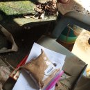 당골농장 이미지