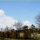 월산3리 이미지