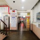 진동돌장어 이미지