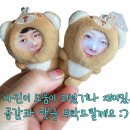 도르멍스테이 이미지