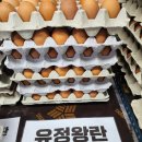 상대농장 | 양평 농장직영 계란 가게 싱싱계란 유정왕란 구매 후기(아이 있는 집 건강한 달걀)