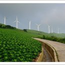 계곡수채화 이미지