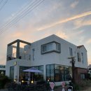 담게스트하우스 | 제주도 혼자여행｜동쪽 구좌 세화해변 이디하우스n카페 게스트하우스 1인실 후기 (ft.별빛투어)