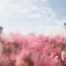 영미스튜디오 이미지