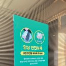 글래드보아