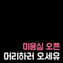 헤어빈 이미지
