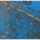 영동천2길 이미지