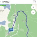 4월21(토) 청남대 산행 이미지