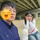 뉴욕애견 | 마포구 합정 애견 동반 맛집｜포메 3살 따띠와 뉴욕아파트먼트 버거 포장해서 공원 피크닉 솔직후기