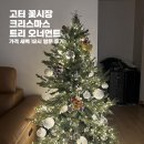 12/6 크리스마스 생화 트리 | 고속터미널 꽃시장 크리스마스 트리 오너먼트 - 가격 새벽 12시 방문 후기