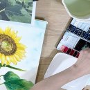 노원4층약국 이미지