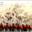 갤러리&펜션 풍경소리 이미지