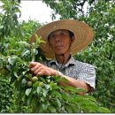 유룡리농장 이미지