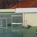 상순이네 하우스 이미지