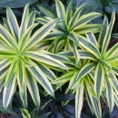 상동호수공원 이미지