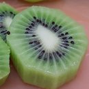 낭그늘 펜션 이미지