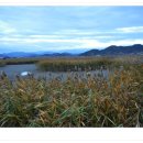 순천만풍경 이미지